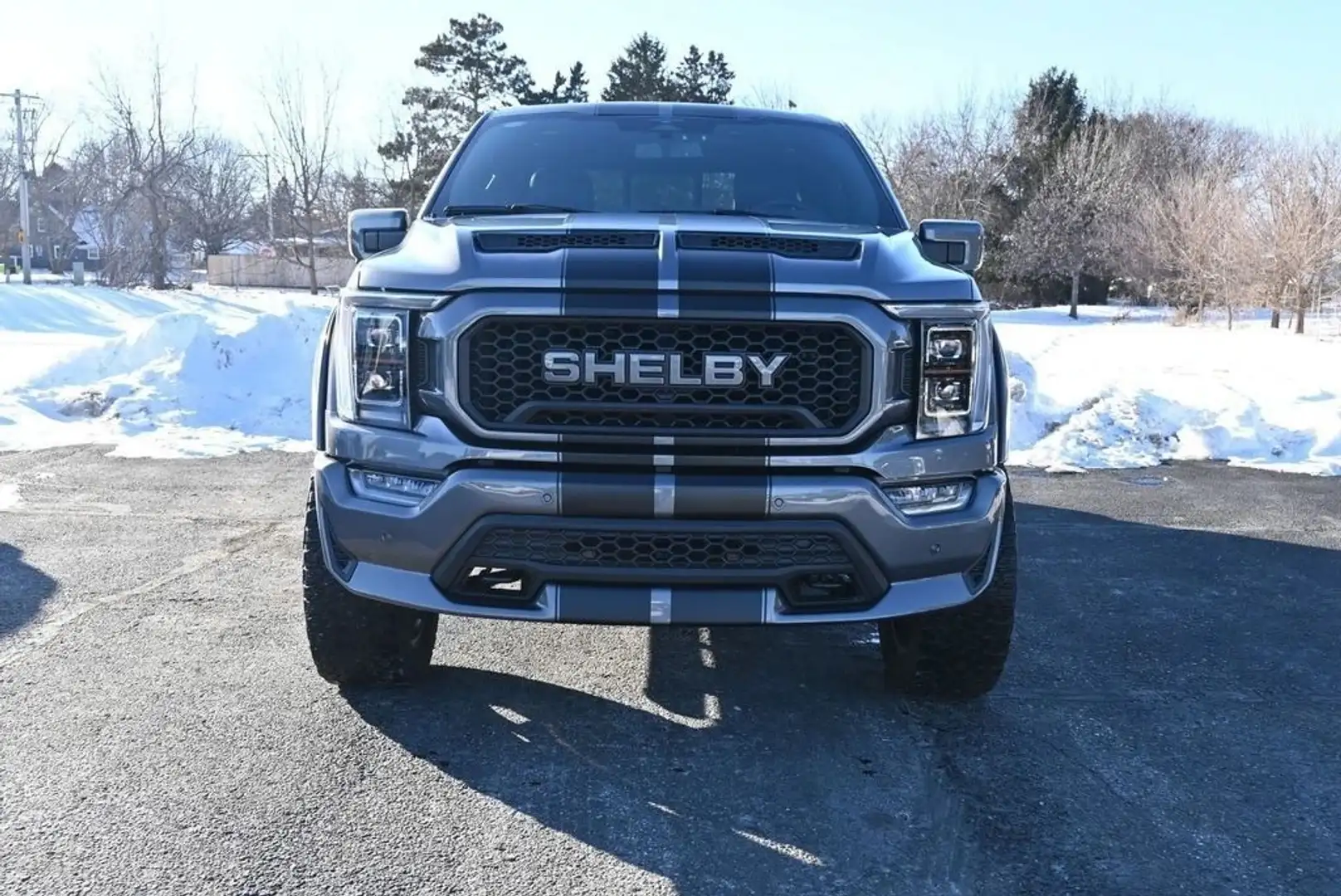 Ford F 150 Shelby Centennial Edition Supercharged Plateado - 1