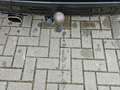 Fiat Punto Evo 1.4-16V Multiair Sport Zwart - thumbnail 24