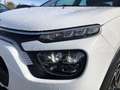 Citroen C3 3ª serie - C3 BlueHDi 100 S&S Shine Pack Bianco - thumbnail 8