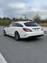 Mercedes-Benz CLS 350 d 4MATIC Shooting Brake Aut. Weiß - thumbnail 6