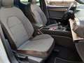 SEAT Leon 1.5 TSI S&S Xcellence 150 Blanco - thumbnail 12