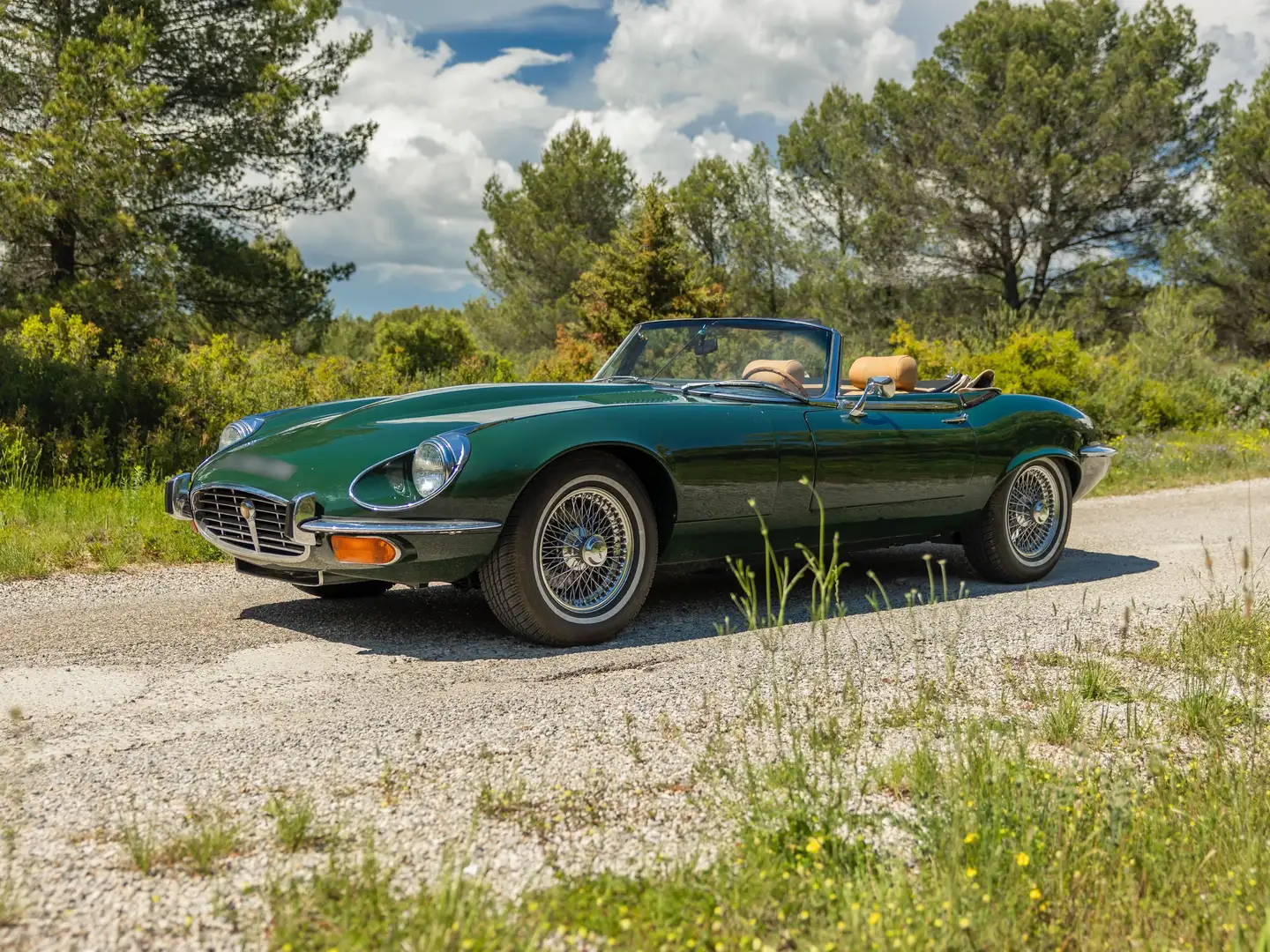 Jaguar E-Type Série 3 V12 Roadster Verde - 1