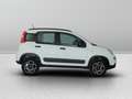 Fiat New Panda 0.9 TwinAir Turbo Natural Power City Life Bianco - thumbnail 7