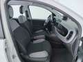 Fiat New Panda 0.9 TwinAir Turbo Natural Power City Life Bianco - thumbnail 14