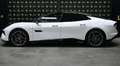 Lotus Emeya Emeya Blanco - thumbnail 4