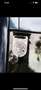 Volvo V50 2,0 D Powershift Blau - thumbnail 2