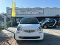 smart forTwo Fortwo 1.0 Superpassion 71cv twinamic Bianco - thumbnail 2