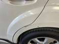 Subaru OUTBACK 2.0D CVT Exclusive|INTERNI IN PELLE|TETTO PANORAMI Wit - thumbnail 33