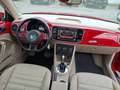 Volkswagen Beetle 1,6 TDI BMT Sky DSG Rot - thumbnail 10