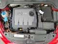 Volkswagen Beetle 1,6 TDI BMT Sky DSG Rot - thumbnail 20