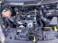 Ford Fiesta Fiesta 1.0 85cv 3p Black Edition Schwarz - thumbnail 18