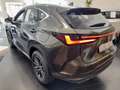 Lexus NX 450h+ ❤️Plug-In Executive❤️ Grün - thumbnail 2
