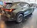 Lexus NX 450h+ ❤️Plug-In Executive❤️ Grün - thumbnail 3