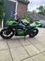 Kawasaki Ninja 300 KRT Zwart - thumbnail 5