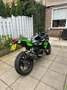 Kawasaki Ninja 300 KRT Zwart - thumbnail 2