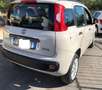 Fiat Panda 0.9 85 cv Benzina Twin Air Turbo Lounge Beige - thumbnail 5