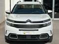 Citroen C5 Aircross C5 Aircross 1.5 bluehdi Feel s Bianco - thumbnail 7