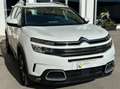 Citroen C5 Aircross C5 Aircross 1.5 bluehdi Feel s Bianco - thumbnail 6