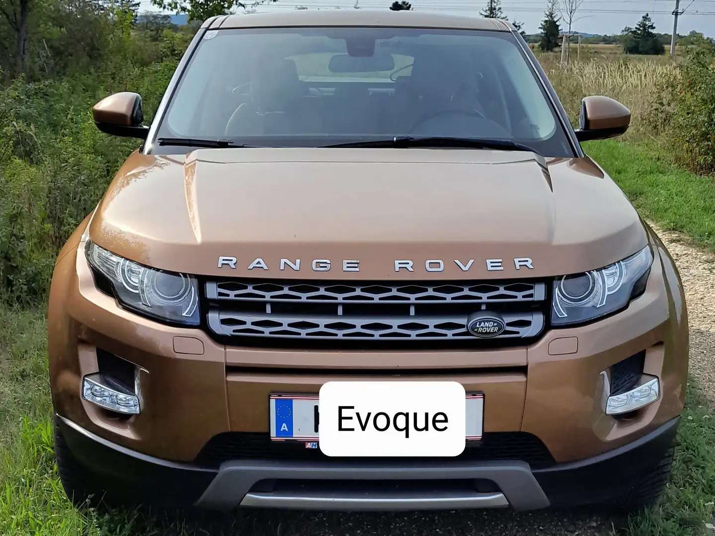 Land Rover Range Rover Evoque Range Rover Evoque Pure 2,2 TD4 Aut. Pure Bronze - 1