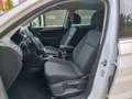 Volkswagen Tiguan 2.0 TDi SCR 4Motion Life Business DSG 1°EIG. !! Blanc - thumbnail 13