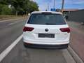 Volkswagen Tiguan 2.0 TDi SCR 4Motion Life Business DSG 1°EIG. !! Blanc - thumbnail 6
