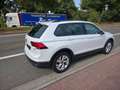 Volkswagen Tiguan 2.0 TDi SCR 4Motion Life Business DSG 1°EIG. !! Blanc - thumbnail 7