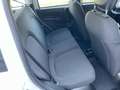 Fiat Panda 1.0 FireFly S&S Hybrid KM0 MY25 Bianco - thumbnail 15