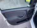 Fiat Panda 1.0 FireFly S&S Hybrid KM0 MY25 Bianco - thumbnail 12