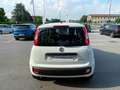 Fiat Panda 1.0 FireFly S&S Hybrid KM0 MY25 Bianco - thumbnail 7