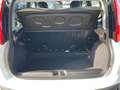 Fiat Panda 1.0 FireFly S&S Hybrid KM0 MY25 Bianco - thumbnail 10