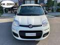 Fiat Panda 1.0 FireFly S&S Hybrid KM0 MY25 Bianco - thumbnail 2
