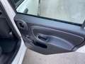 Fiat Panda 1.0 FireFly S&S Hybrid KM0 MY25 Bianco - thumbnail 14