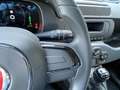 Fiat Panda 1.0 FireFly S&S Hybrid KM0 MY25 Bianco - thumbnail 17