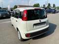 Fiat Panda 1.0 FireFly S&S Hybrid KM0 MY25 Bianco - thumbnail 6