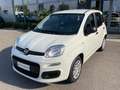 Fiat Panda 1.0 FireFly S&S Hybrid KM0 MY25 Bianco - thumbnail 3