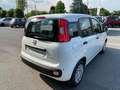 Fiat Panda 1.0 FireFly S&S Hybrid KM0 MY25 Bianco - thumbnail 8