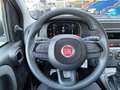 Fiat Panda 1.0 FireFly S&S Hybrid KM0 MY25 Bianco - thumbnail 16