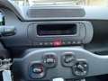 Fiat Panda 1.0 FireFly S&S Hybrid KM0 MY25 Bianco - thumbnail 20