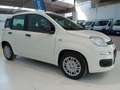 Fiat Panda Panda 1.0 FireFly S&S Hybrid Bianco - thumbnail 3