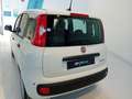 Fiat Panda Panda 1.0 FireFly S&S Hybrid Bianco - thumbnail 5
