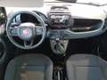 Fiat Panda Panda 1.0 FireFly S&S Hybrid Bianco - thumbnail 10