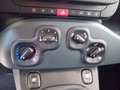 Fiat Panda Panda 1.0 FireFly S&S Hybrid Bianco - thumbnail 13