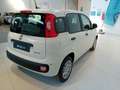 Fiat Panda Panda 1.0 FireFly S&S Hybrid Bianco - thumbnail 4