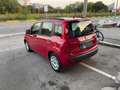 Fiat Panda Panda 1.2 Pop 69cv Rouge - thumbnail 6