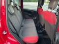Fiat Panda Panda 1.2 Pop 69cv Rouge - thumbnail 13