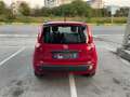 Fiat Panda Panda 1.2 Pop 69cv Rouge - thumbnail 5