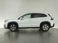 Suzuki SX4 S-Cross HYBRID COMFORT PLUS ALLGRIP AT+LED+PANORAMADACH+NA Weiß - thumbnail 8