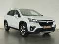 Suzuki SX4 S-Cross HYBRID COMFORT PLUS ALLGRIP AT+LED+PANORAMADACH+NA Weiß - thumbnail 29