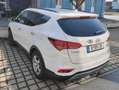 Hyundai SANTA FE Santa Fe 2,2 CRDi 4WD Start-Stopp Premium Premium Weiß - thumbnail 2