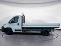 Fiat Ducato Maxi 35 LH1 cabinato 2.2 mjt3 140cv Blanc - thumbnail 2